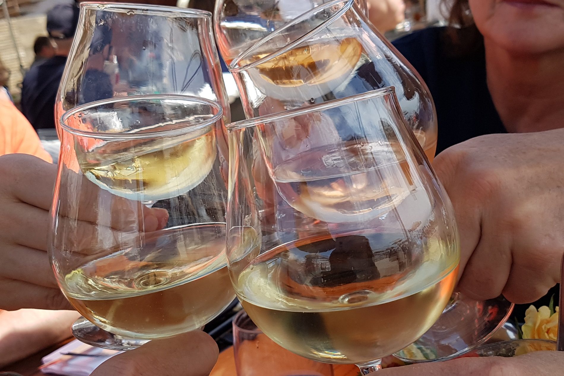 Borrel Aan Het Water Bij Strandpaviljoen De Zeemeeuw Muiderberg